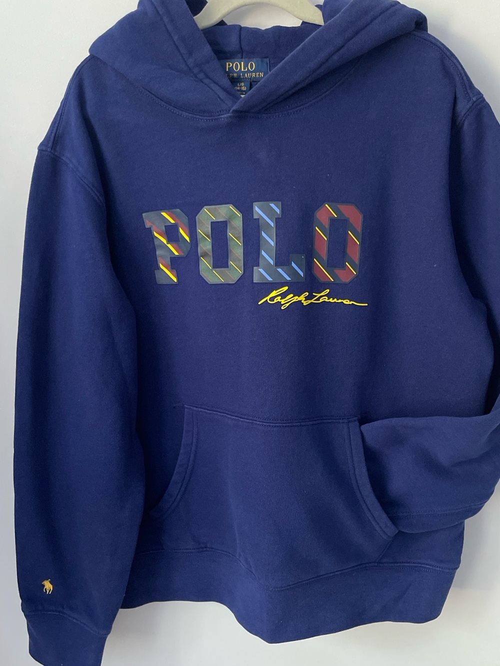 Polo Ralph Lauren Kids Blue Pullover fleece Hoodie with Multicolor POLO Logo